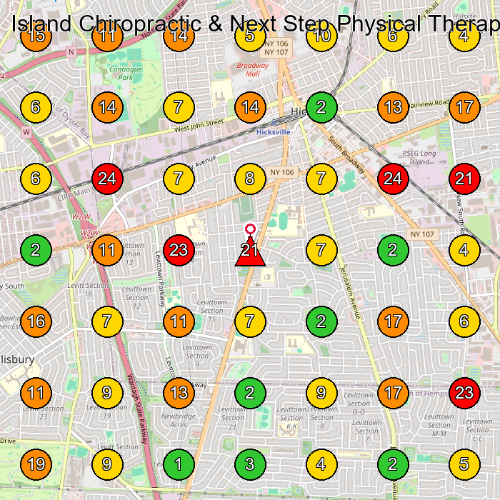 Island Chiropractic & Next Step Physical Therapy Physical Therapist GeoGrid ranking map for Hicksville NY